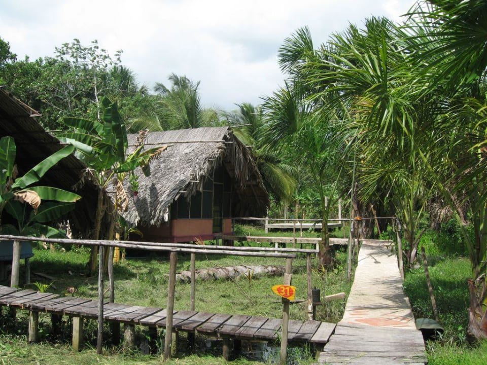 Die Lodge Hotel Orinoco Delta Lodge