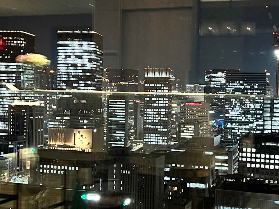 Ausblick The Royal Park Hotel Iconic Osaka Midosuji