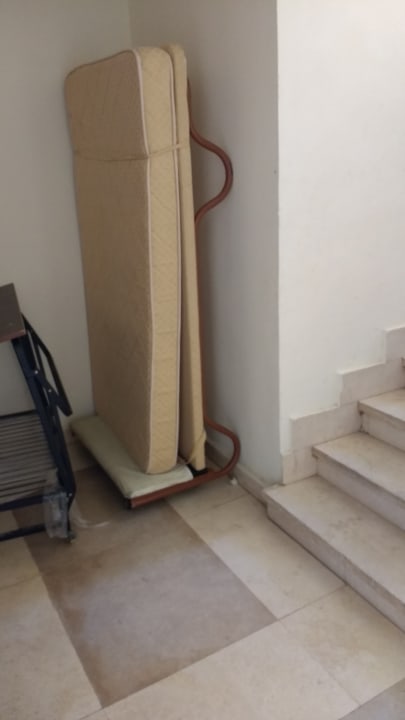 Zimmer Amphoras Aqua Adults Friendly