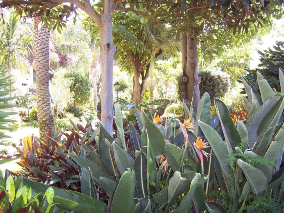 Hotelgarten BLUESEA Costa Jardin Spa