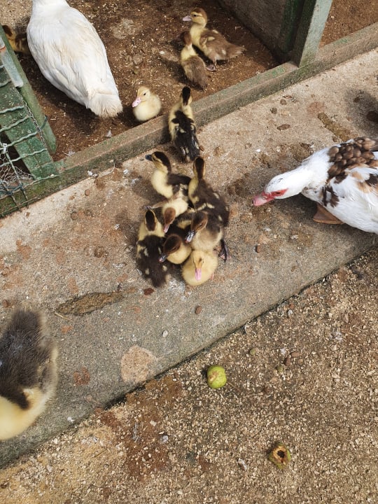 Außenansicht Hotel Lochmühle