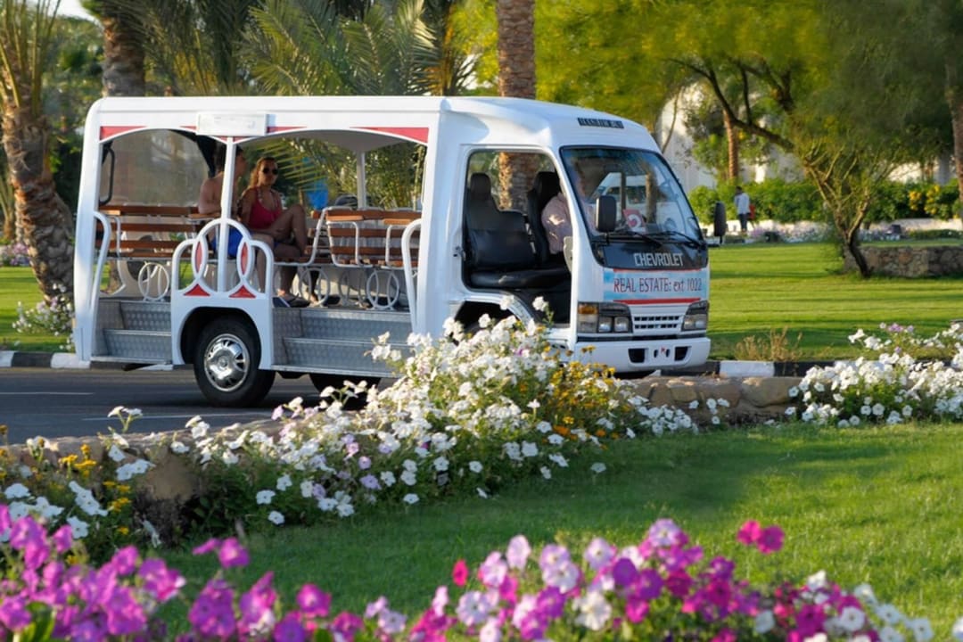 Transport  Domina Coral Bay Resort, Diving , Spa & Casino