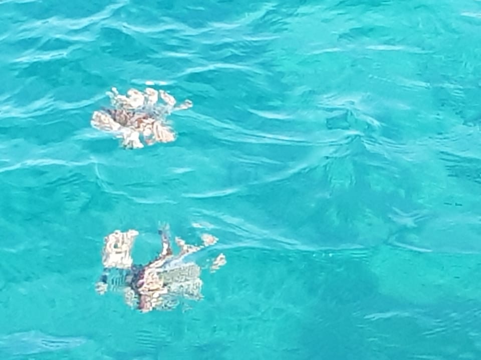 Sonstiges Pickalbatros Alf Leila Wa Leila Resort - Neverland Hurghada