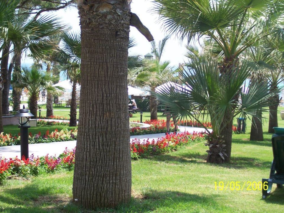 Hotelanlage Papillon Ayscha