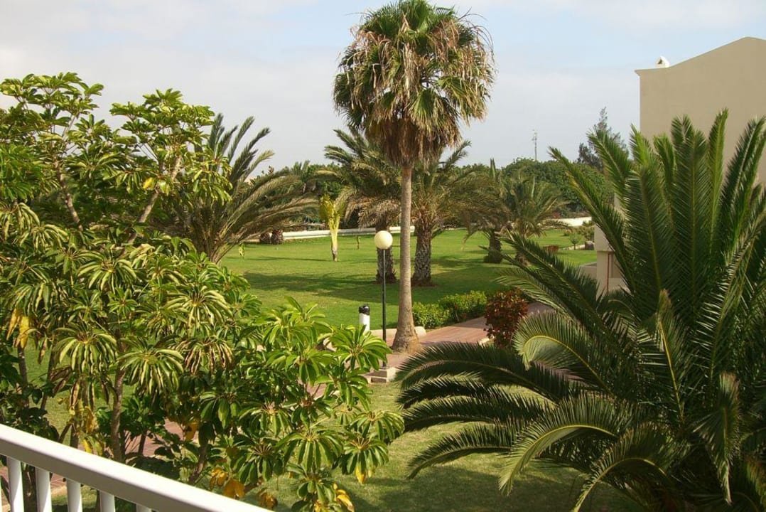 Blick vom Balkon Hotel Riu Oliva Beach Resort