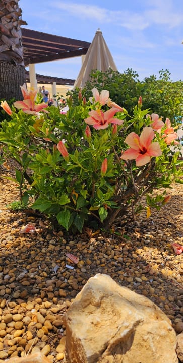 Gartenanlage AP Adriana Beach Resort