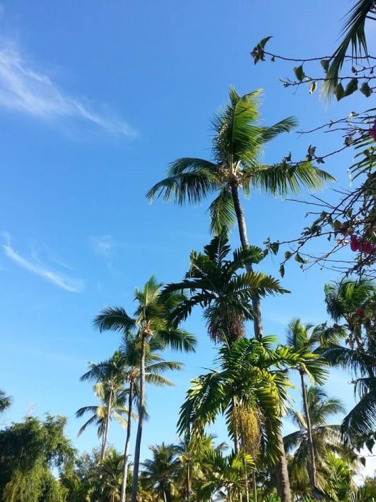 Sicht von der Poolbar Grand Palladium Select Bávaro Resort & Spa
