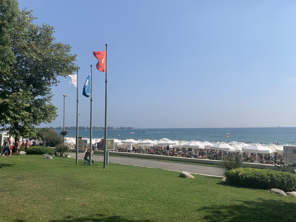 Ausblick Side Star Elegance