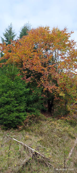 Ausblick Berghotel Hoher Knochen