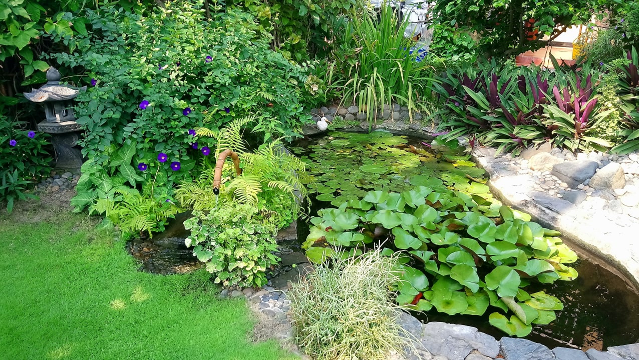 Gartenanlage Bamboo Village Beach Resort & Spa