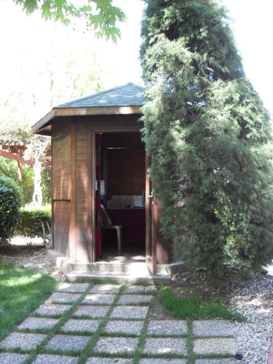 Oracle Side Star Elegance