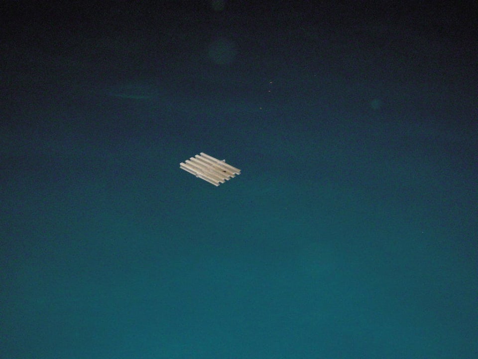 Gitter Pool Club Hotel Pineta