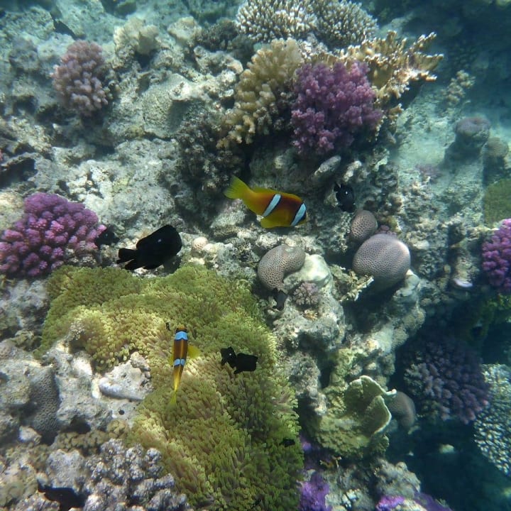 Strand Three Corners Equinox Beach Resort