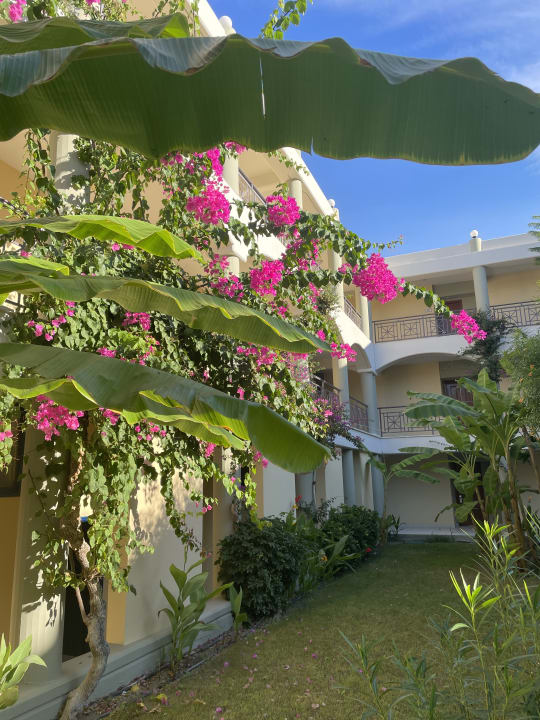 Gartenanlage Atrium Palace Thalasso Spa Resort & Villas