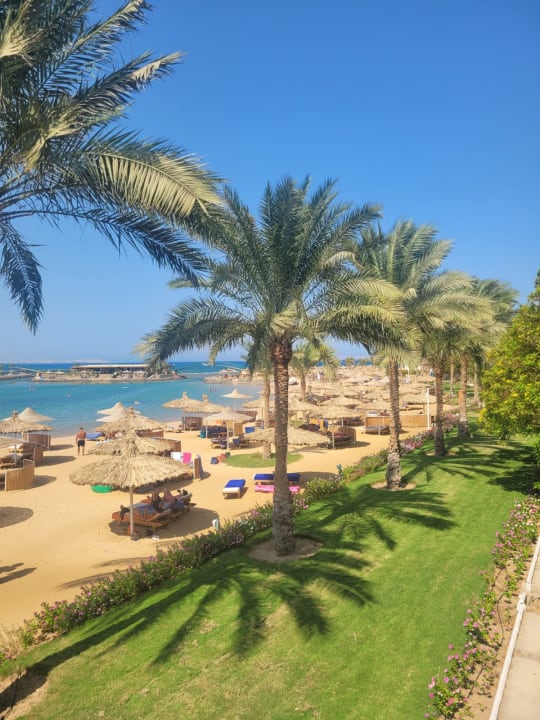 Ausblick Desert Rose