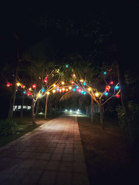 Gartenanlage ROBINSON NAM HOI AN