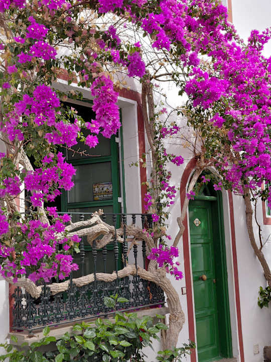 Gartenanlage Hotel Riu Palace Maspalomas Adults Only