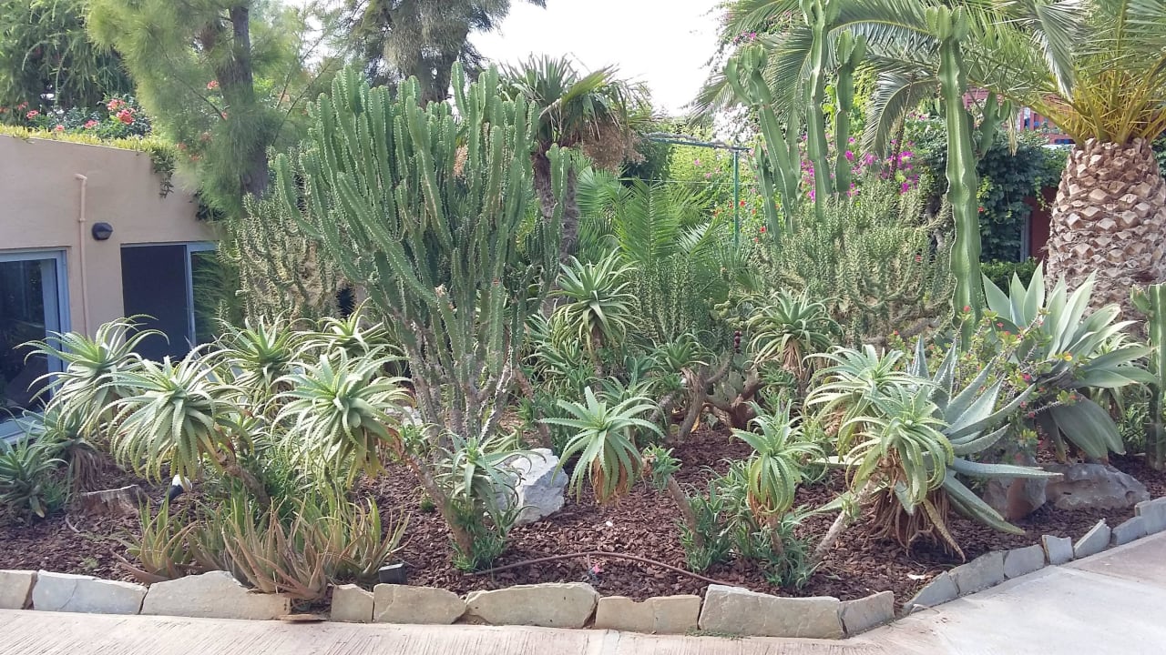 Traumhafte Vegetation Anissa Beach & Village