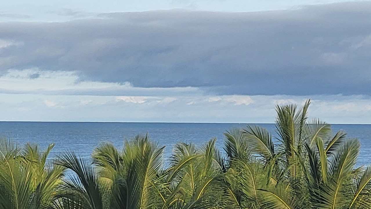 Ausblick Hotel Riu Baobab - All Inclusive