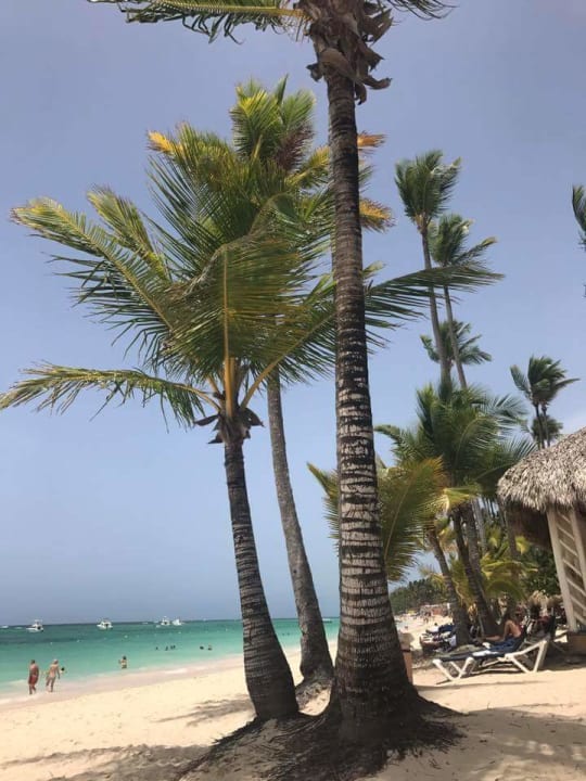 Strand Hotel Grand Palladium Palace Resort, Spa & Casino