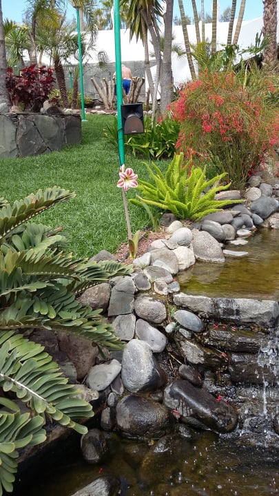 Sehr schön allsun Hotel Lucana