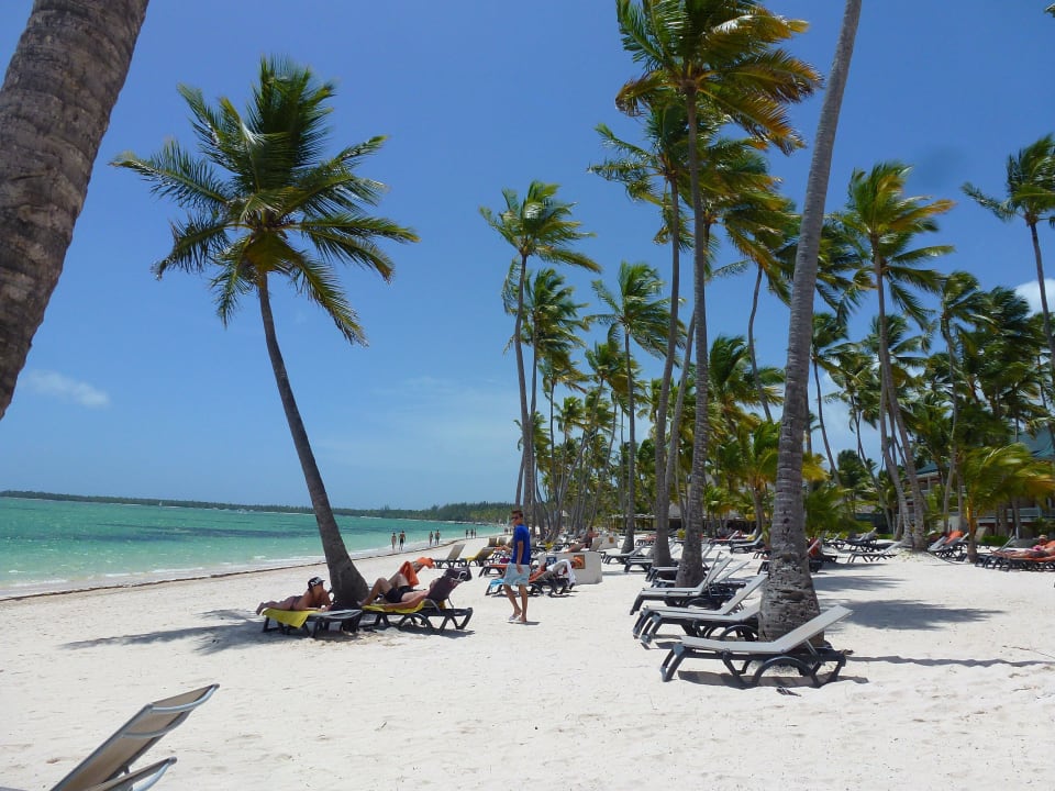 Mit Sicherheit einer der schönsten Karibik-Strände Barcelo Bavaro Beach - Adults only