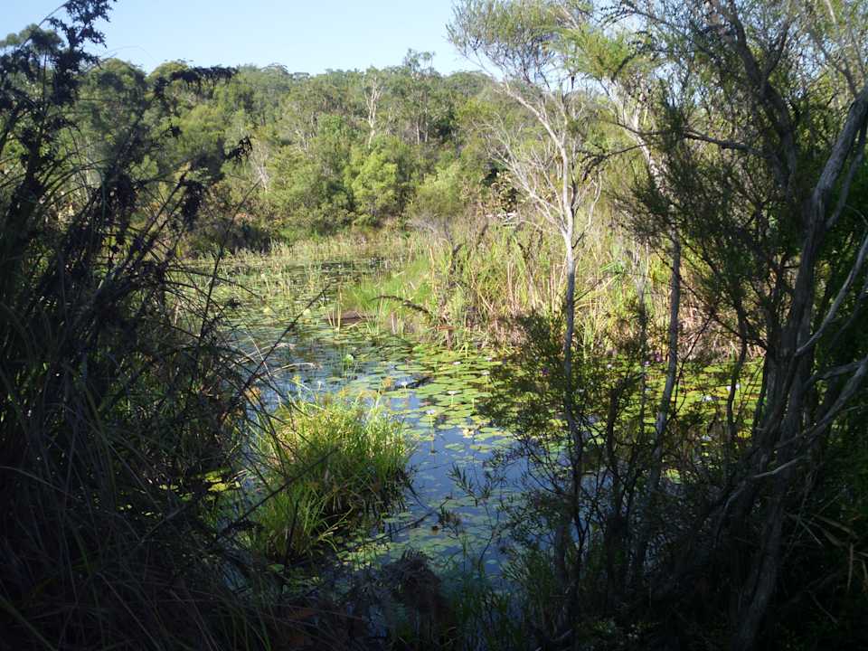 Gartenanlage Mercure Kingfisher Bay Resort Fraser Island