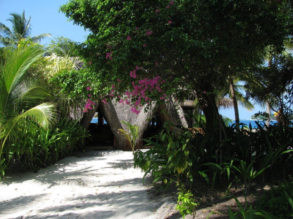 Fung-Bar Kuramathi Maldives