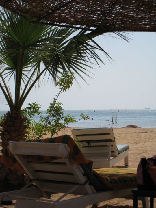 Strand Giftun Azur Resort