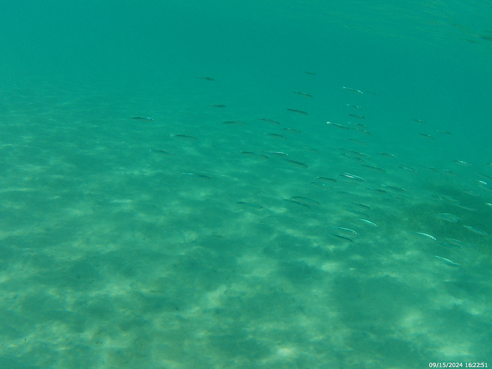 Strand The V Luxury Resort Sahl Hasheesh