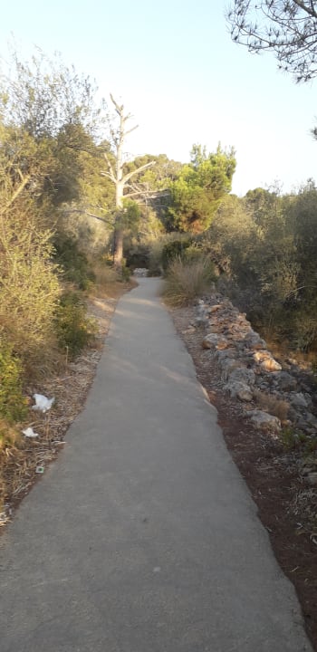 Gartenanlage Hotel Club Cala Romani