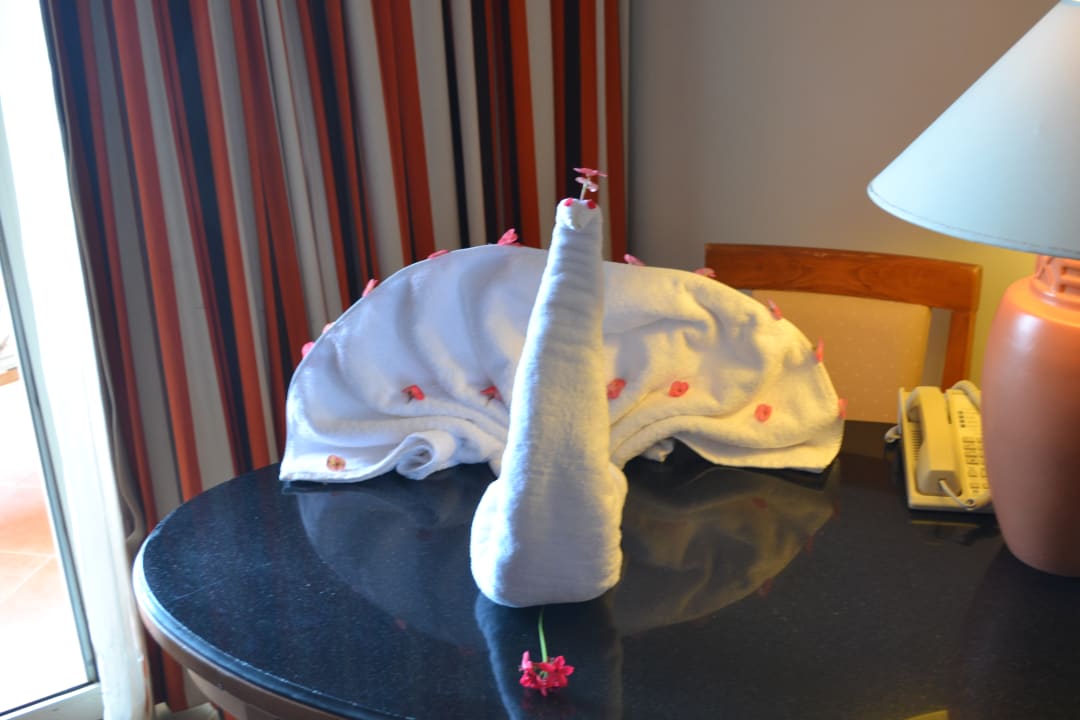 Zimmer Jaz Grand Marsa