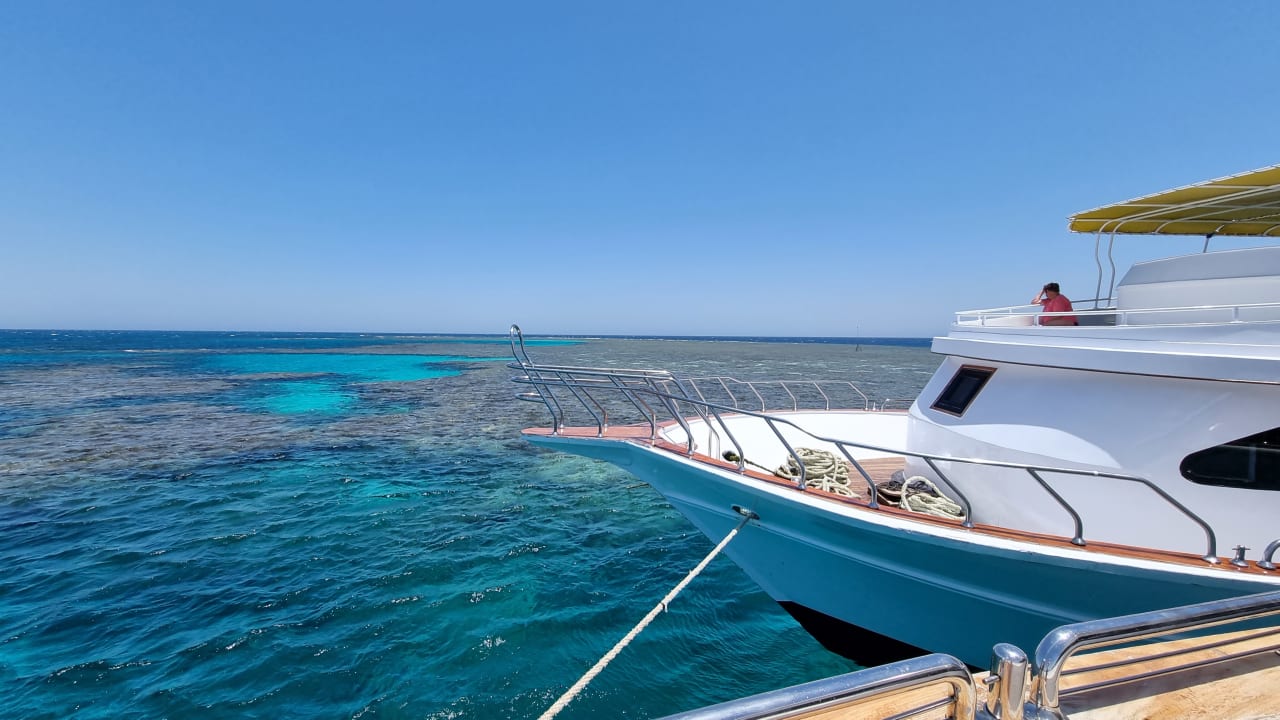 Ausblick Pickalbatros Citadel Resort