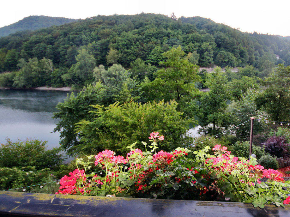 Göbel's Seehotel Diemelsee Göbel's Seehotel Diemelsee