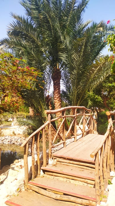 Gartenanlage Grand Makadi