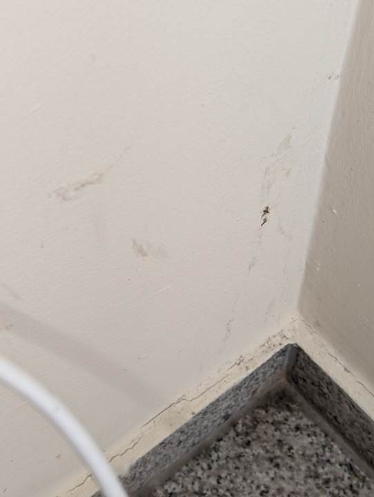 Zimmer Haus Koralle Wohnung links