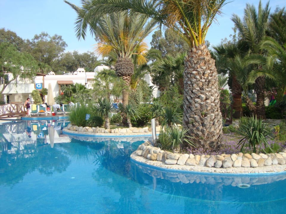 Poolanlage mit Palmen Very Chic Bodrum Adult Only