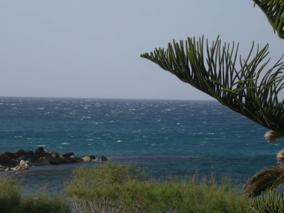 Meerblick Phãea Cretan Malia