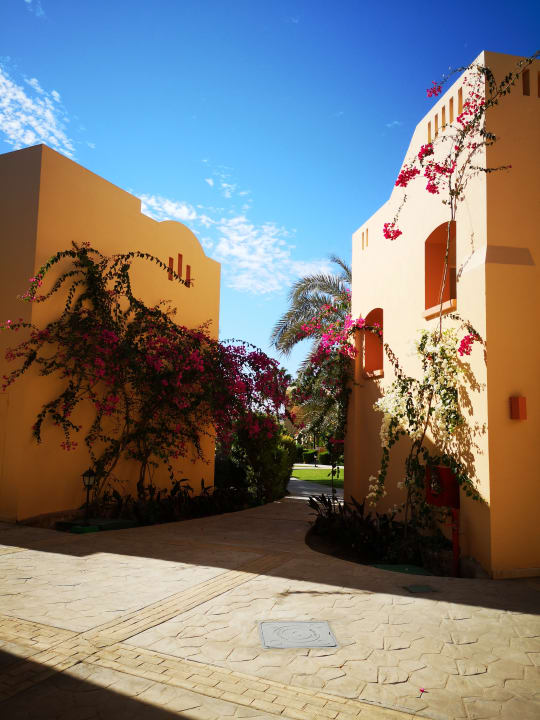 Sonstiges Steigenberger Coraya Beach - Adults only