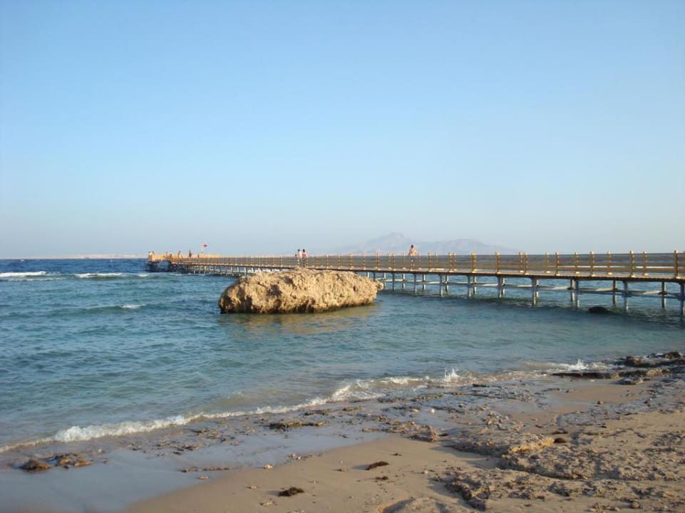Der Steg zum Riff Cleopatra Luxury Resort - Sharm El Sheikh