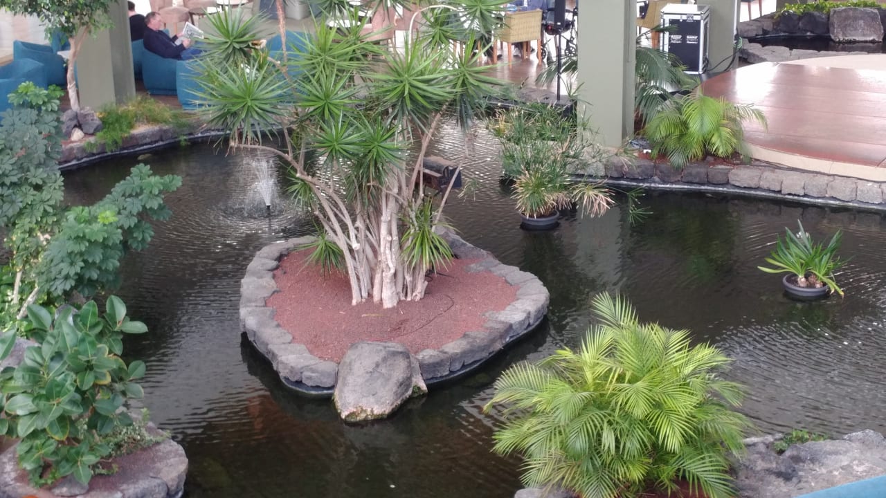 Gartenanlage Hotel Grand Teguise Playa