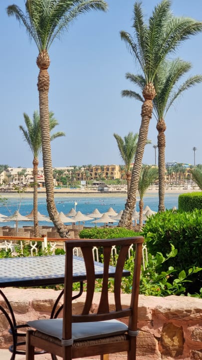 Gartenanlage Steigenberger Coraya Beach - Adults only