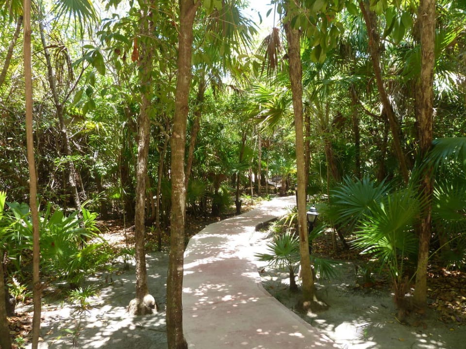 Dschungelfeeling Catalonia Playa Maroma