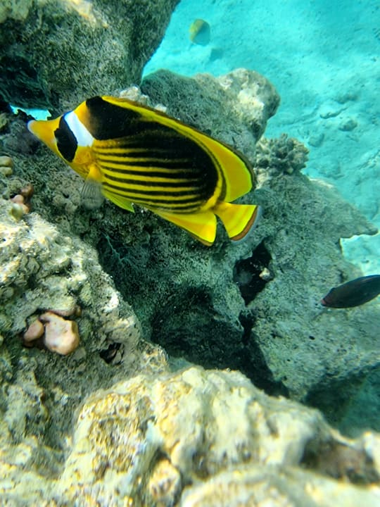 Strand Makadi Spa - Adults only