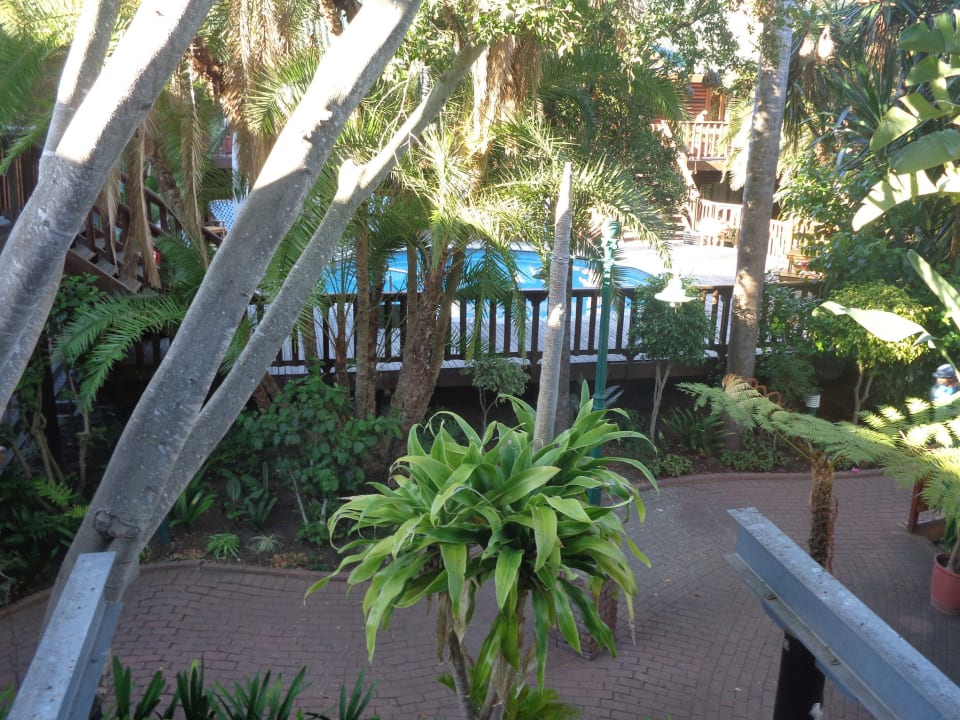 Pool The Graywood Hotel