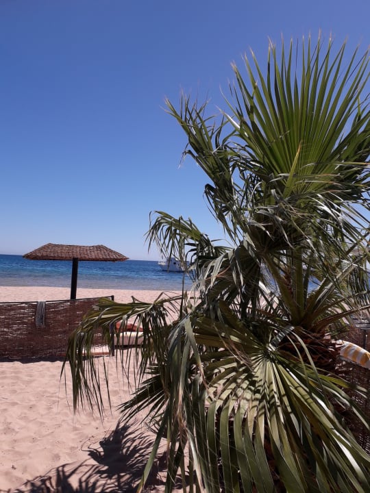 Lotus bay beach