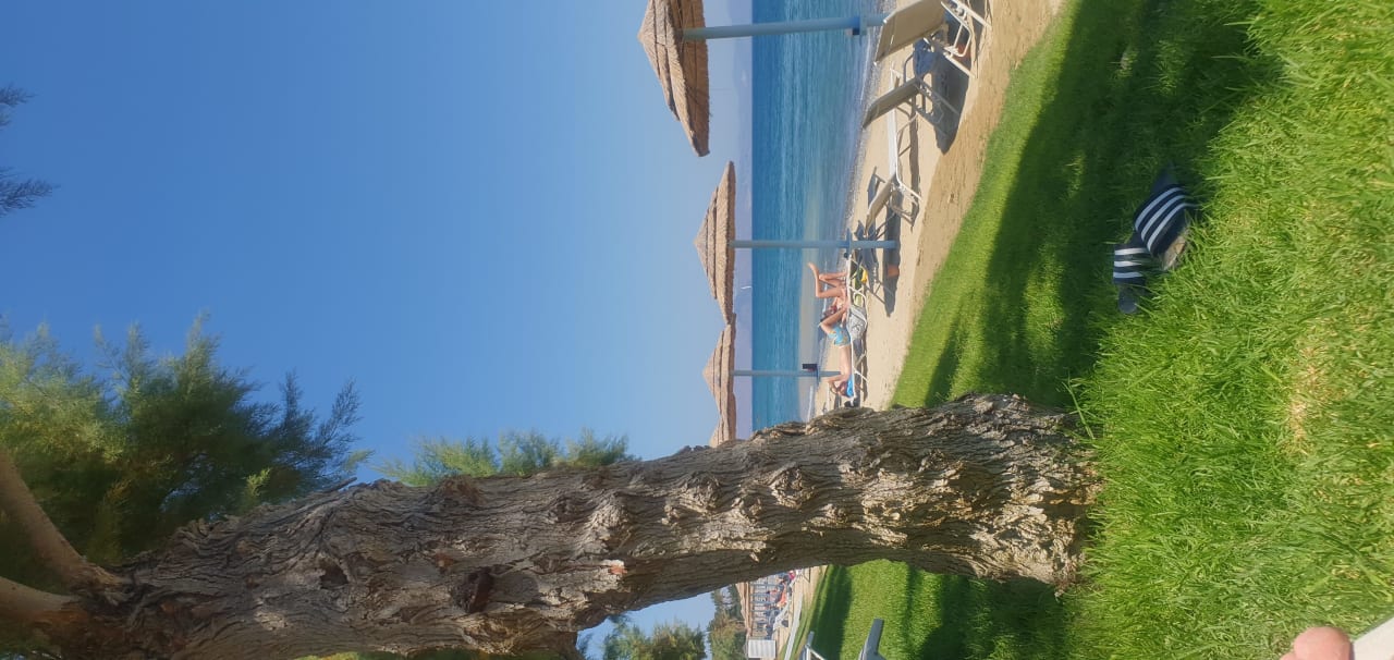 Strand TUI BLUE Oceanis Beach and Spa Resort