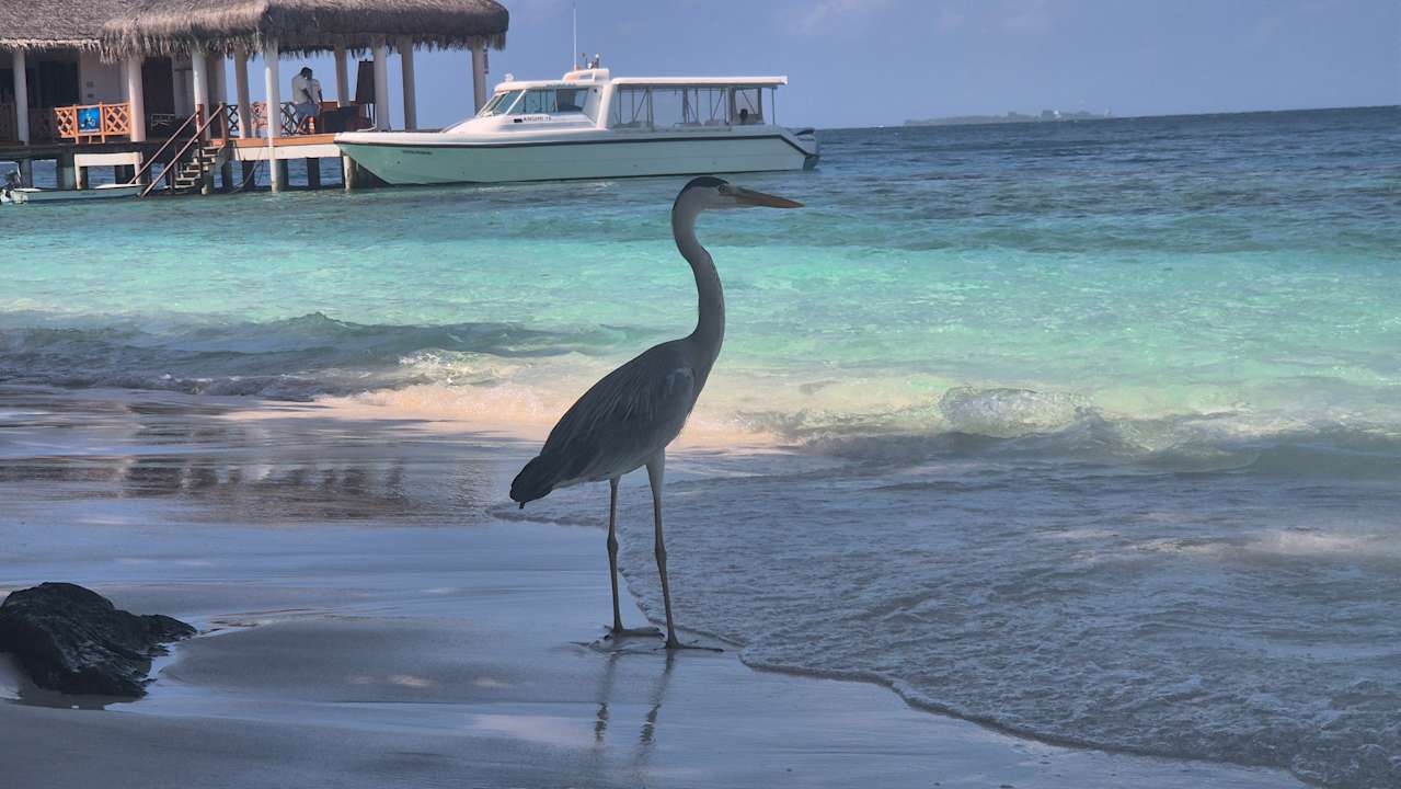 Strand Dreamland The Unique Sea & Lake Resort / Spa