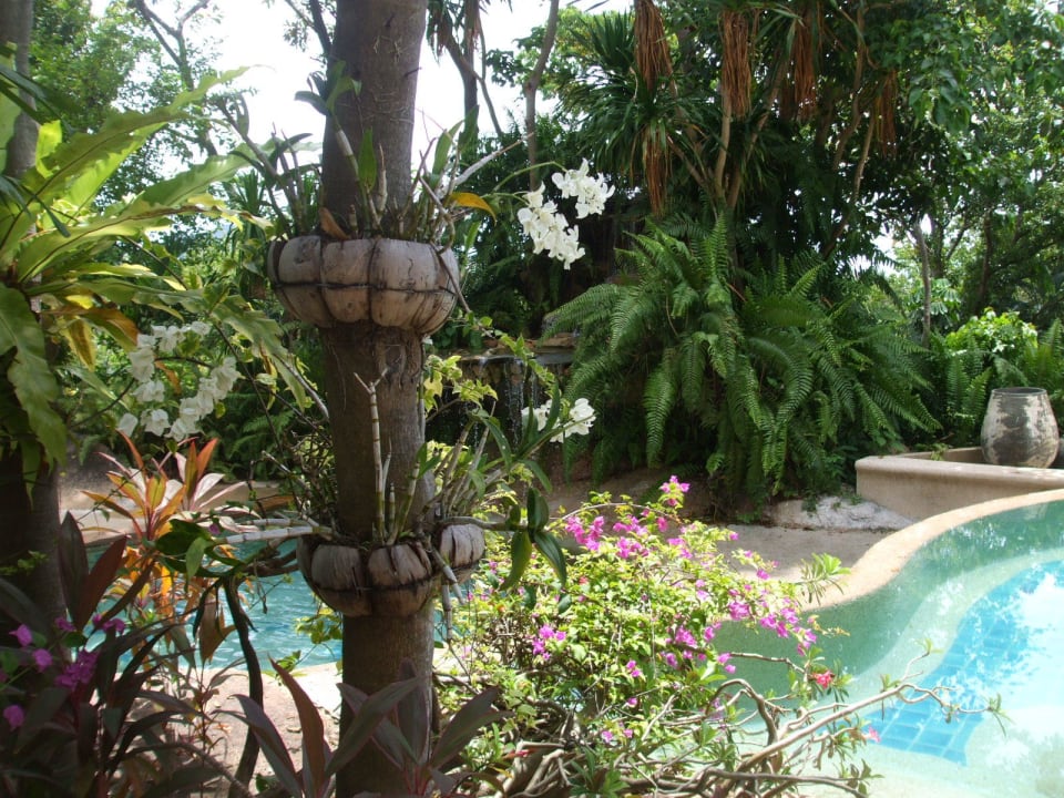 Oberer Pool The Fair House Beach Resort