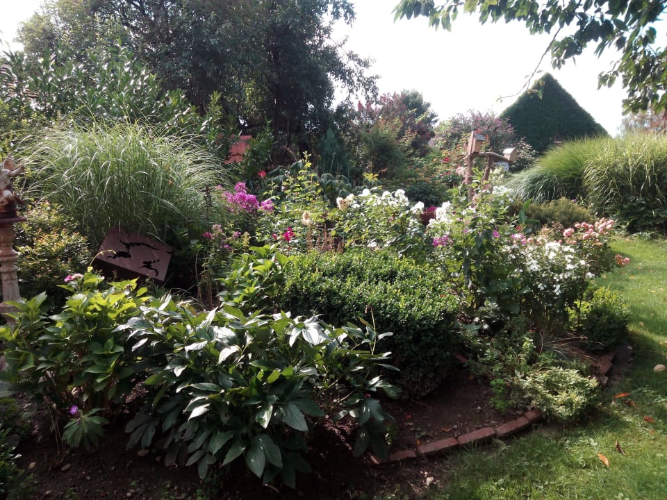 Garten Pension Arkadenhof